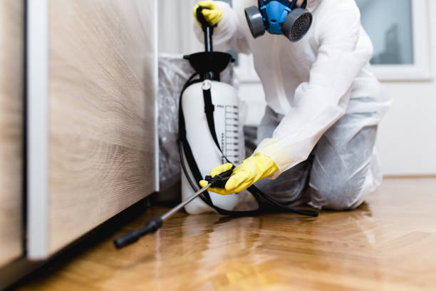Best Mosquito Control Services  in Ferris, TX