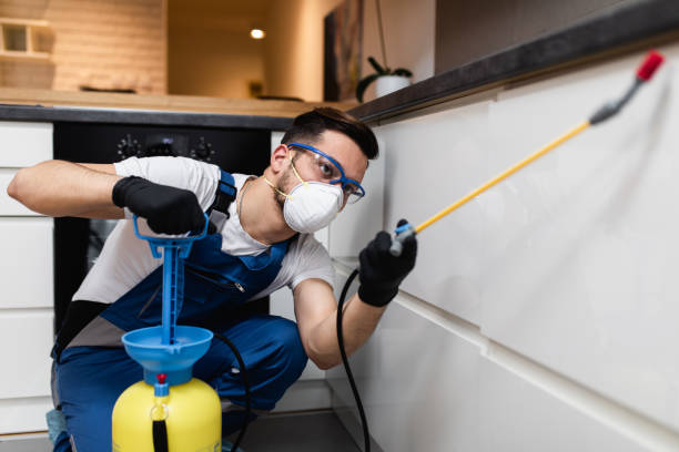 Professional Pest Control in Ferris, TX