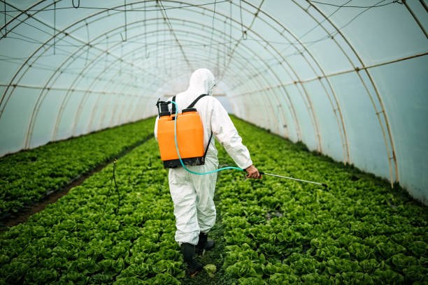 Best Local Pest Control Services  in Ferris, TX