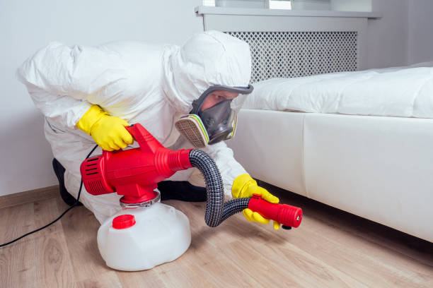 Pest Prevention Services in Ferris, TX