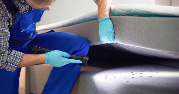 Best Termite Control Services  in Ferris, TX