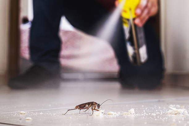 Best Affordable Pest Control Services  in Ferris, TX